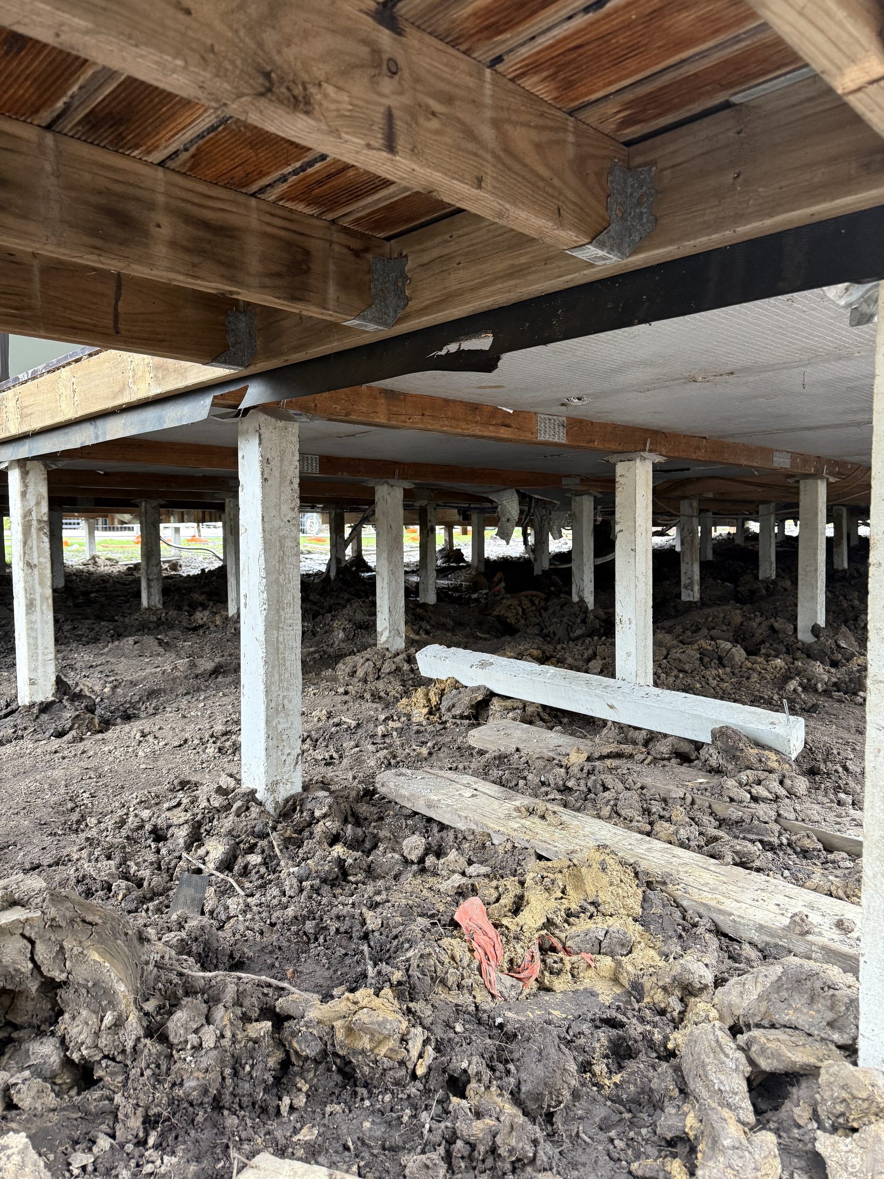 View underneath a house on new stumps during reinstatement